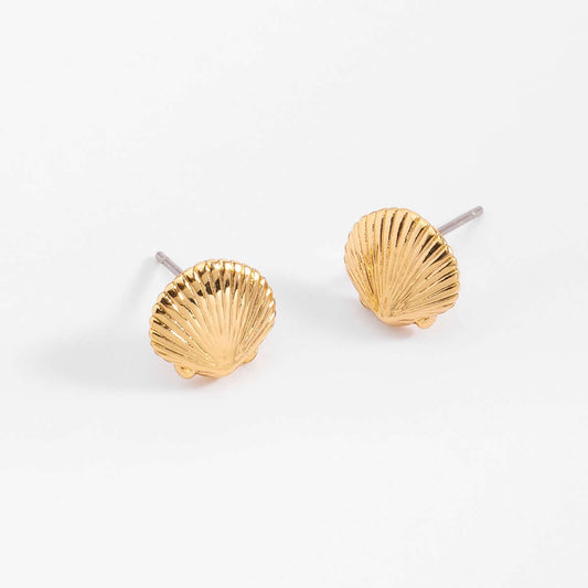 Aretes de broquel con diseño de concha en baño de oro